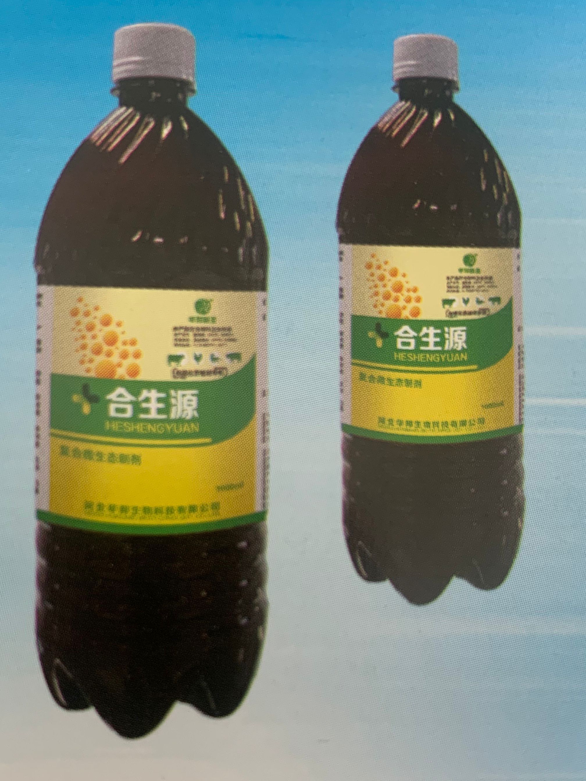 SYNERGY SOURCE